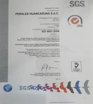 Perhusa 2005